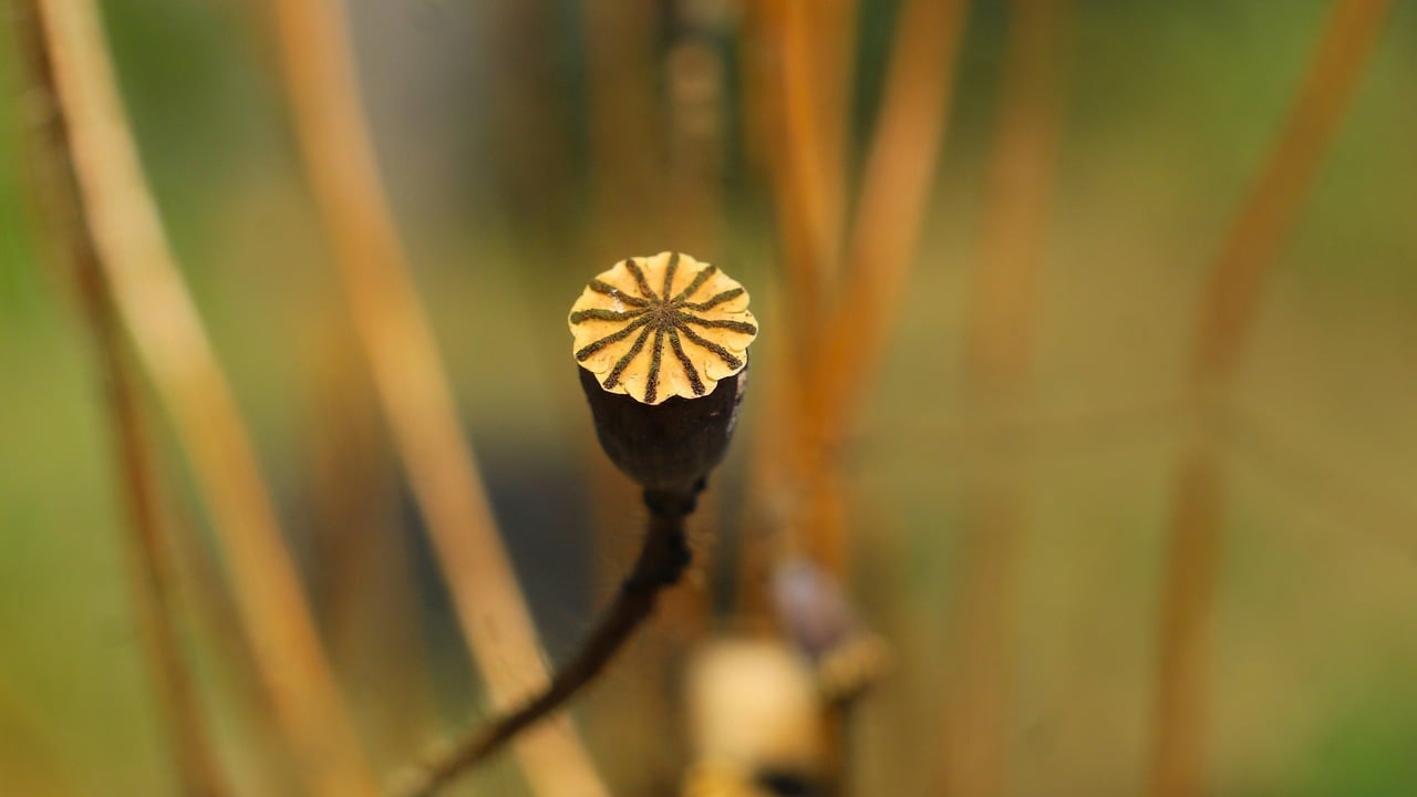 10 Easy Crafts for Exploring Nature with Kids